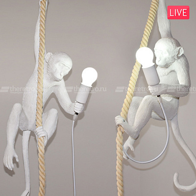 Настенный светильник Seletti Monkey Lamp Белый B фото 20