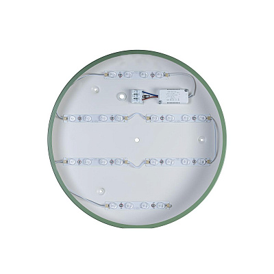 Потолочный Светильник Axel 10003/24 Green фото 3