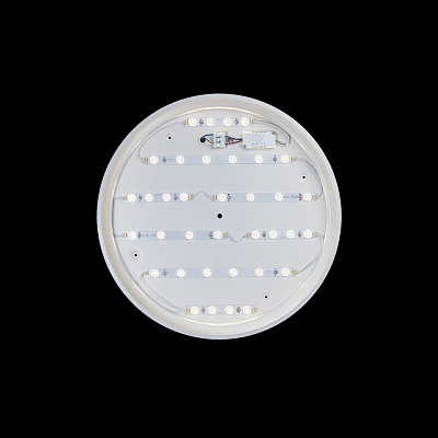Потолочный Светильник Axel 10001/36 White фото 4