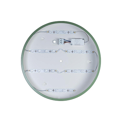 Потолочный Светильник Axel 10002/24 Green фото 3